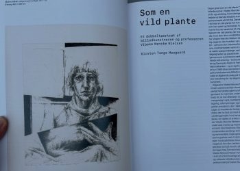 Foto: VKM.
