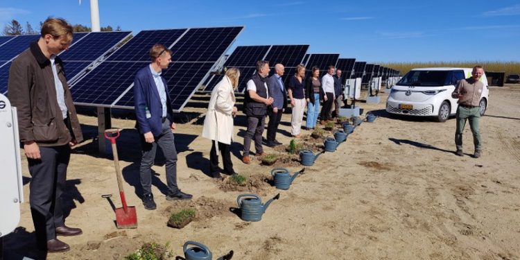 I symbolsk fællesskab plantede repræsentanter fra alle involverede parter ”voksne” xemplarer af nogle af de planter – 55 forskellige – som med tiden skal dække jorden under solcellepanelerne… Frø af enhver art er sået, sol, vejr og vind kan bare komme... Foto: Elling.