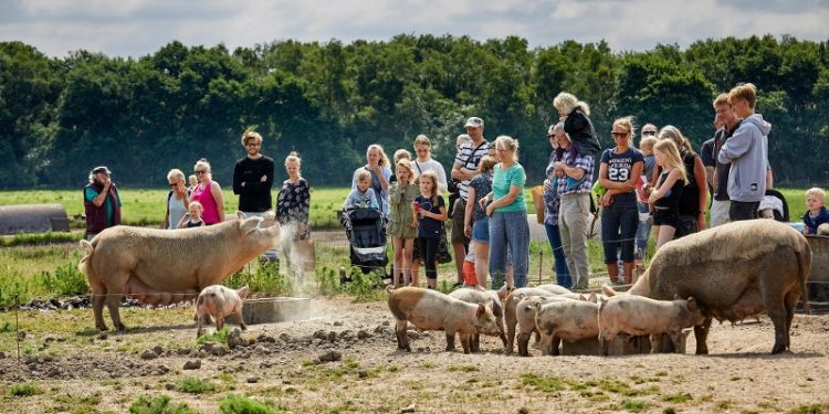 Fotos: Henrik Bjerregrav.