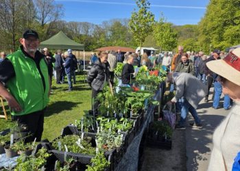 Haveselskabet Hjørring høstede stor succes i Folkeparken. Privatfoto