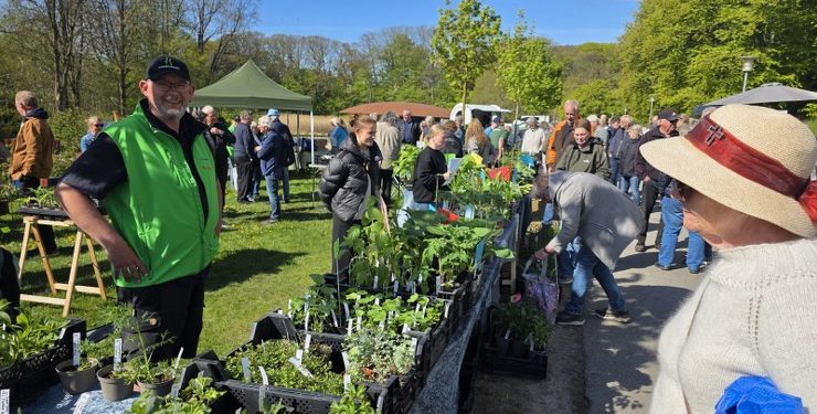 Haveselskabet Hjørring høstede stor succes i Folkeparken. Privatfoto