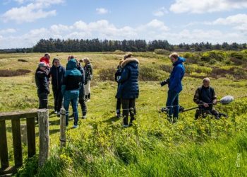Området ved Stenbjerg mellem Hovedvejen og Kystvejen kaldes også Den Grønne Kile ved Hirtshals. Her ses deltagere ved Naturmødet i 2020. Foto: Elling.