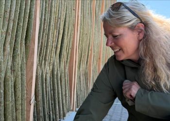 Susanne Olesen. Foto: Pilebyg.
