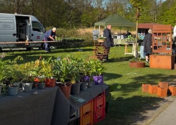 Haveselskabet Hjørring var lørdag morgen i gang med forberedelserne til dagens havefest i Folkeparken. Skærmfoto