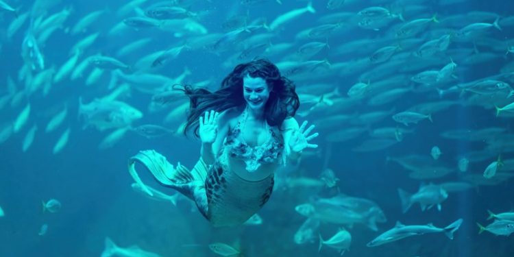 Foto: Nordsøen Oceanarium.