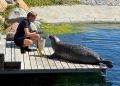 Foto: Nordsøen Oceanarium.