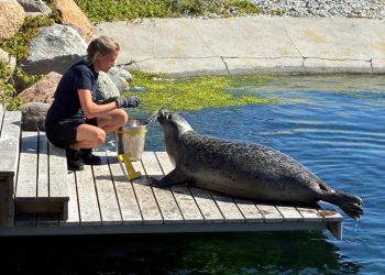 Foto: Nordsøen Oceanarium.