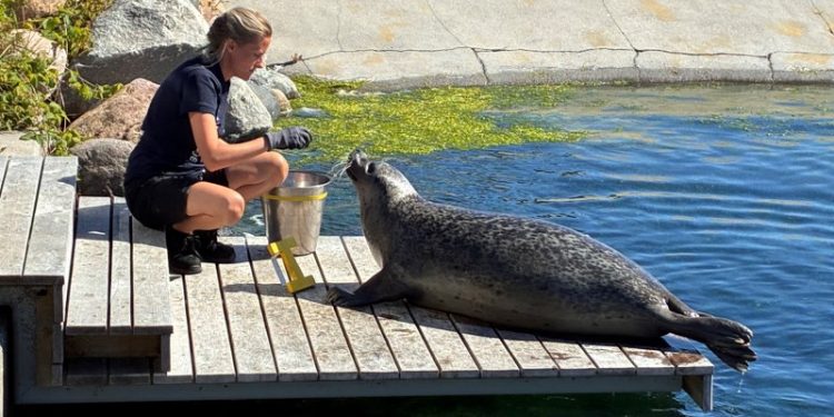 Foto: Nordsøen Oceanarium.