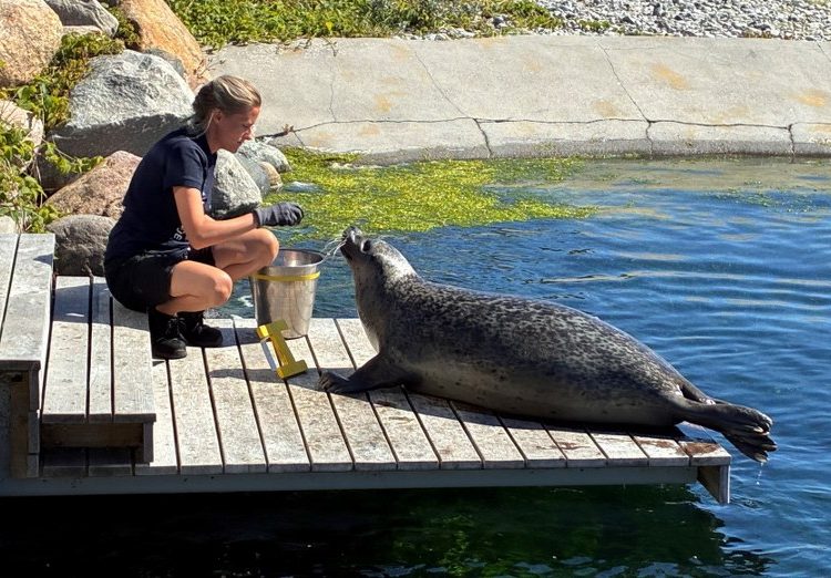 Foto: Nordsøen Oceanarium.