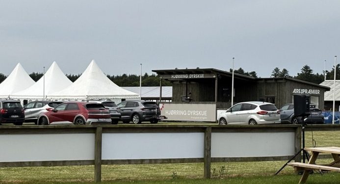 Ringen til Hjørring Dyrskue var onsdag til mobile hestekræfter - fredag og lørdag er det dyrenes tur. Foto: Palle W. Nielsen