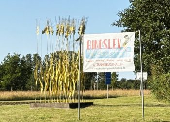Aksene fortæller noget af historien om Bindslev. Foto: Palle W. Nielsen
