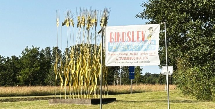 Aksene fortæller noget af historien om Bindslev. Foto: Palle W. Nielsen
