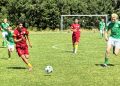Foto: Dana Cup.