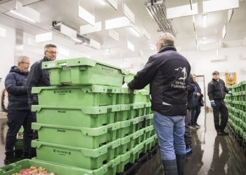 Hirtshals Fiskeauktion. Foto: René Stoklund.