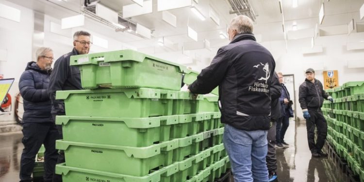 Hirtshals Fiskeauktion. Foto: René Stoklund.
