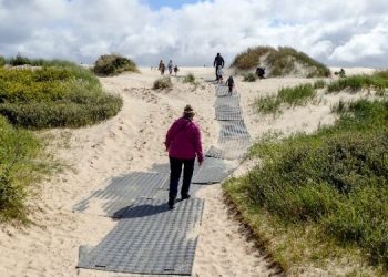 Naturstyrelsen udlægger køreplader til toppen af Råbjerg Mile i uge 29. Arkivfoto: Niels Helver.