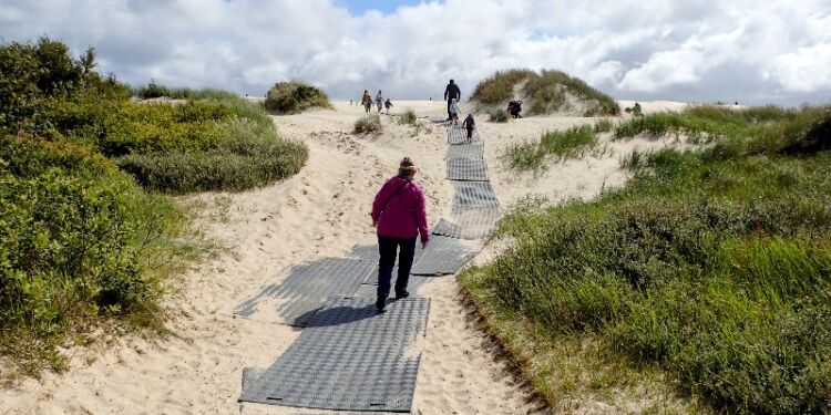 Naturstyrelsen udlægger køreplader til toppen af Råbjerg Mile i uge 29. Arkivfoto: Niels Helver.
