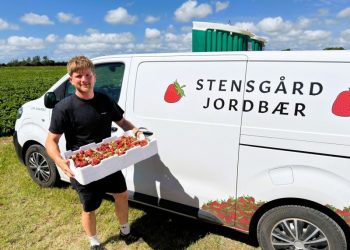 Mikkel Breyen Simonsen melder om bugnende marker hos Stensgård Jordbær. Foto: Niels Skipper.